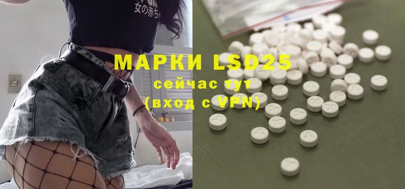 блэк спрут ссылки  закладки  Верхотурье  ЛСД экстази ecstasy 